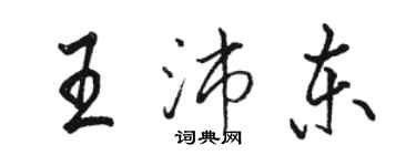 駱恆光王沛東行書個性簽名怎么寫