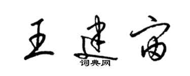 梁錦英王建宙草書個性簽名怎么寫