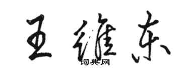 駱恆光王維東行書個性簽名怎么寫