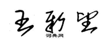 朱錫榮王新望草書個性簽名怎么寫