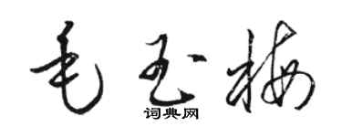駱恆光毛玉梅草書個性簽名怎么寫