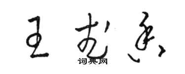 駱恆光王武香草書個性簽名怎么寫