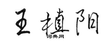駱恆光王植陽行書個性簽名怎么寫
