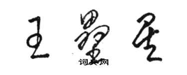 駱恆光王壘星草書個性簽名怎么寫