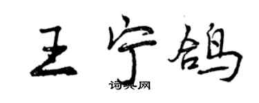 曾慶福王寧鴿行書個性簽名怎么寫