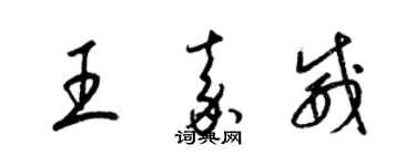 梁錦英王嘉威草書個性簽名怎么寫