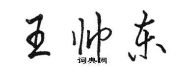 駱恆光王帥東行書個性簽名怎么寫