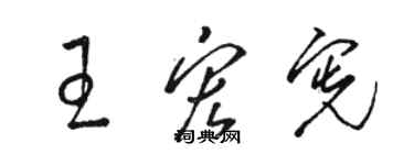 駱恆光王宏憲草書個性簽名怎么寫