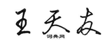 駱恆光王天友行書個性簽名怎么寫