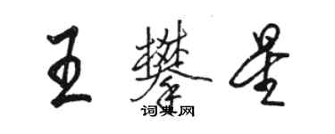 駱恆光王攀星行書個性簽名怎么寫