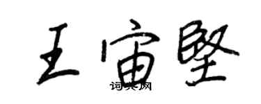 王正良王宙堅行書個性簽名怎么寫