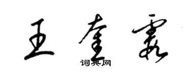 梁錦英王奎霞草書個性簽名怎么寫