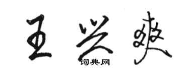 駱恆光王興爽行書個性簽名怎么寫