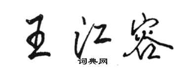 駱恆光王江容行書個性簽名怎么寫