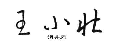 駱恆光王小壯草書個性簽名怎么寫