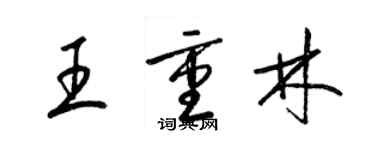 梁錦英王重林草書個性簽名怎么寫