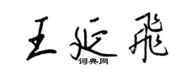王正良王延飛行書個性簽名怎么寫