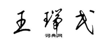 梁錦英王瑞民草書個性簽名怎么寫