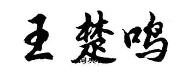 胡問遂王楚鳴行書個性簽名怎么寫