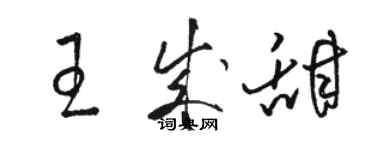 駱恆光王成甜草書個性簽名怎么寫