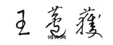 駱恆光王蘆獲草書個性簽名怎么寫