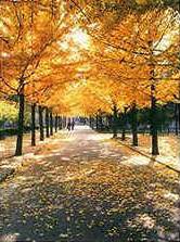 1998年5月4日北京大學喜慶百年華誕_歷史上的今天