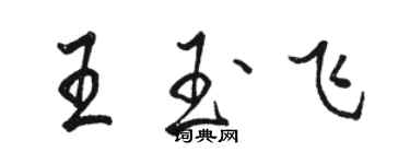駱恆光王玉飛行書個性簽名怎么寫