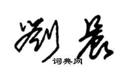 朱錫榮劉晨草書個性簽名怎么寫