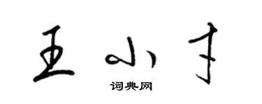 梁錦英王小才草書個性簽名怎么寫