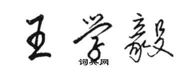 駱恆光王學毅行書個性簽名怎么寫