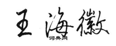 駱恆光王海徽行書個性簽名怎么寫