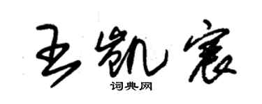 朱錫榮王凱宸草書個性簽名怎么寫