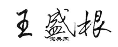 駱恆光王盛根行書個性簽名怎么寫