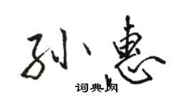 駱恆光孫惠行書個性簽名怎么寫