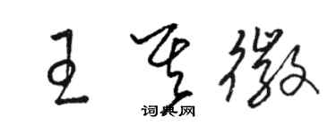 駱恆光王其徽草書個性簽名怎么寫