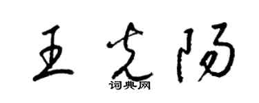 梁錦英王光陽草書個性簽名怎么寫