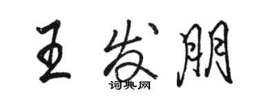 駱恆光王發朋行書個性簽名怎么寫