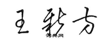 駱恆光王新方草書個性簽名怎么寫