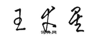 駱恆光王幸星草書個性簽名怎么寫