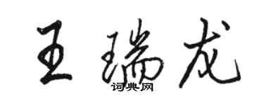 駱恆光王瑞龍行書個性簽名怎么寫
