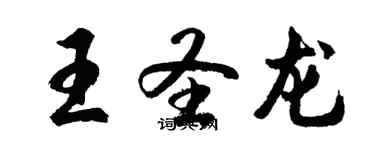 胡問遂王聖龍行書個性簽名怎么寫