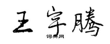 曾慶福王宇騰行書個性簽名怎么寫