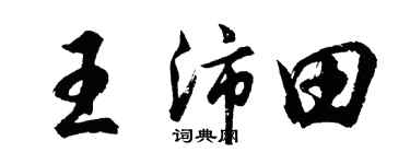 胡問遂王沛田行書個性簽名怎么寫