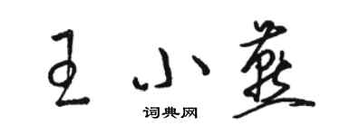 駱恆光王小燕草書個性簽名怎么寫