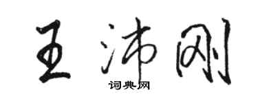 駱恆光王沛剛行書個性簽名怎么寫