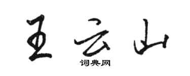 駱恆光王雲山行書個性簽名怎么寫