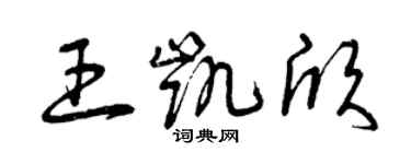 曾慶福王凱欣草書個性簽名怎么寫