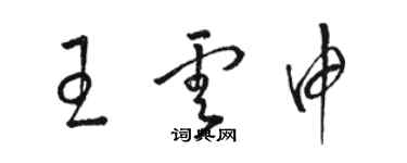 駱恆光王雲申草書個性簽名怎么寫