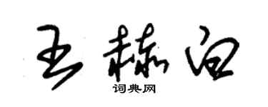 朱錫榮王赫白草書個性簽名怎么寫