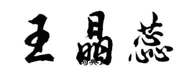 胡問遂王晶蕊行書個性簽名怎么寫